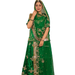 Emerald Green Salma Work Poshak | Aari & Sequins Work on Bamber Satin | Jaipurio Designer Collection